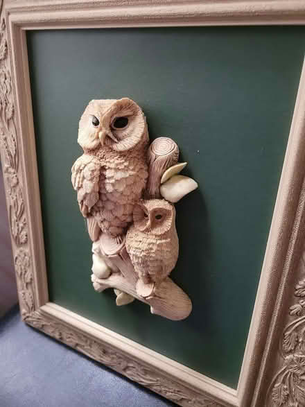 Photo of free Owl Picture (Bedlington NE22) #2