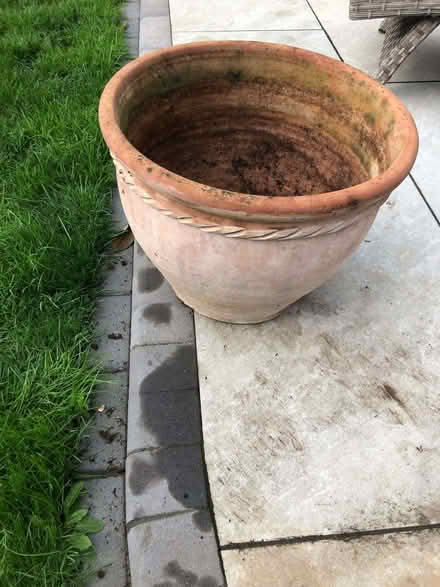 Photo of free Large Earthenware Flower Pot (Twyford RG10) #1