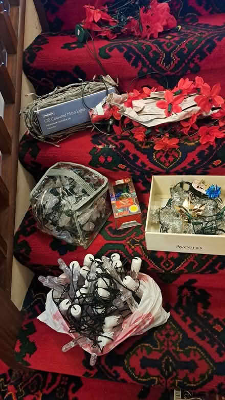 Photo of free Christmas Lights - Various (Blackrock) #1