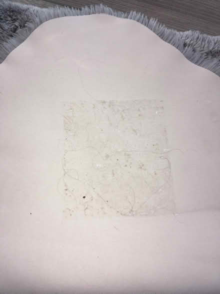 Photo of free IKEA rug (Greenwich MV, SE10) #2