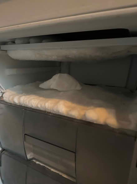 Photo of free Integrated lamona fridge freezer (Catford SE6) #1