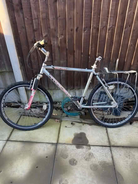 Photo of free Adult bike (Papplewick CP NG15) #1