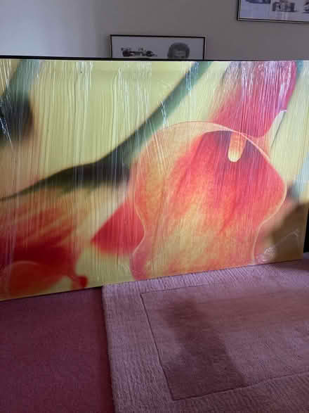 Photo of free Large picture (Warndon Worcester WR4) #1