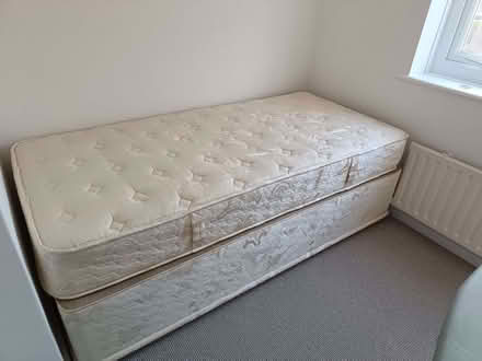 Photo of free Single divan (CT13) #2