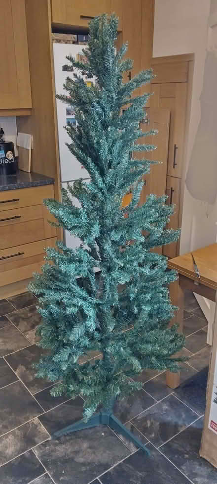 Photo of free Christmas tree 6 feet high. (Littleover DE23) #1