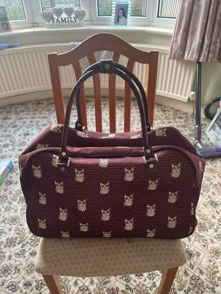 Photo of free Large Luggage Bag (Western Park LE3) #1