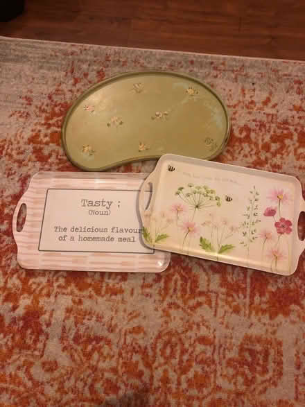 Photo of free 3 trays (Bedfont TW14) #1