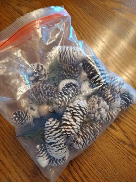 Photo of free Vase filler (Odenton) #1