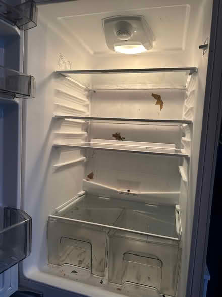 Photo of free Integrated lamona fridge freezer (Catford SE6) #2