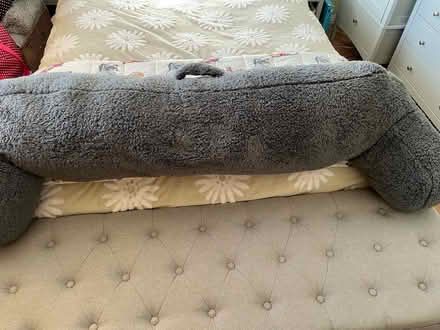 Photo of free Teddy fleece small and large bolsters (Stanstead Abbotts SG12) #3