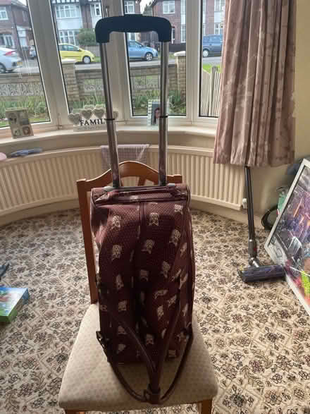 Photo of free Large Luggage Bag (Western Park LE3) #3