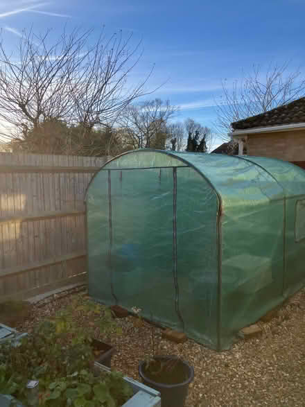 Photo of free Guardsman Polytunnel (DA3) #1