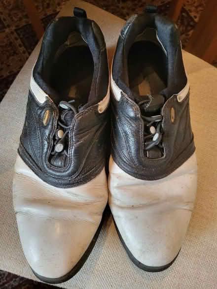 Photo of free Well used Golf Shoes (Liberton EH16) #1