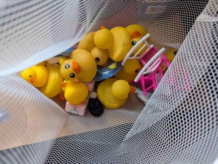 Photo of free Bath toys and net (Wallasey CH44) #2