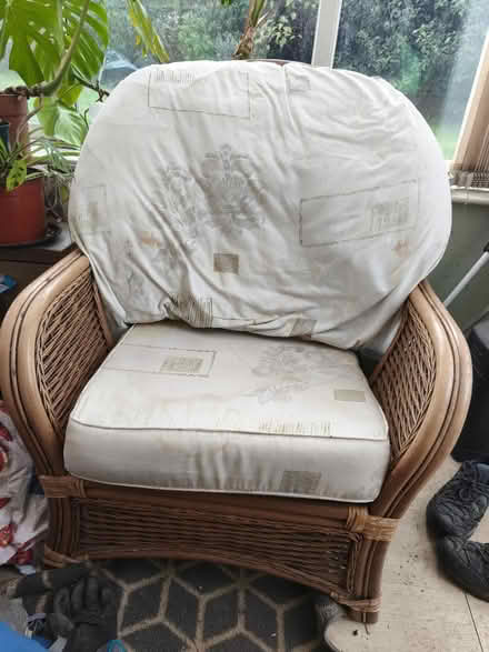 Photo of free Wicker chairs (TN39 4JT) #1