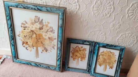 Photo of free Dried flowers pictures (Stockport SK4) #1