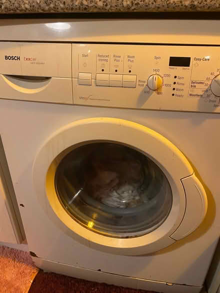 Photo of free Washing machine (Luncarty PH1) #1