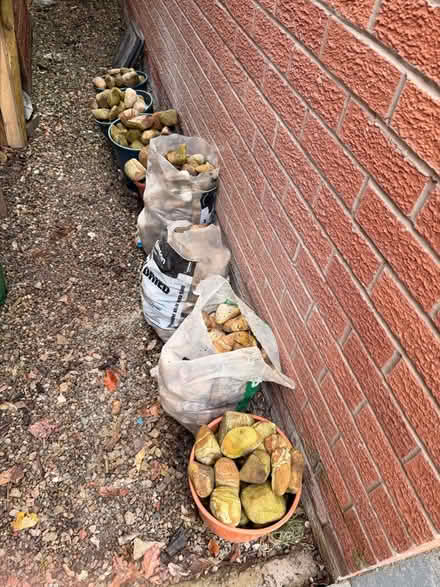 Photo of free River Pebbles (Lower Penwortham PR1) #2