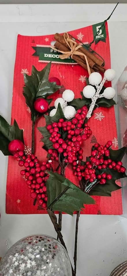 Photo of free Christmas wreath (Dublin15 Carpenterstown) #3