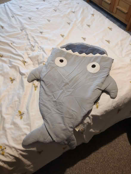 Photo of free Shark baby sleeping bag (Kinson Village Green Stocks BH10) #1
