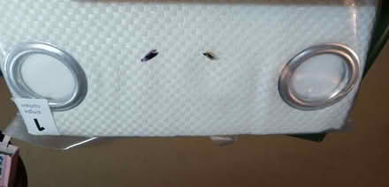 Photo of free Single fabric shower curtain (Minster Lovell OX29) #2