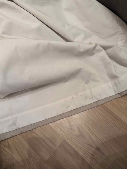 Photo of free Long Curtains (Kennington OX1) #2