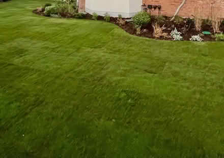 Photo of free Essex turf (Radlett WD7) #2