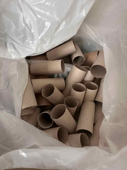 Photo of free toilet rolls (empty) (Guildford GU2) #1