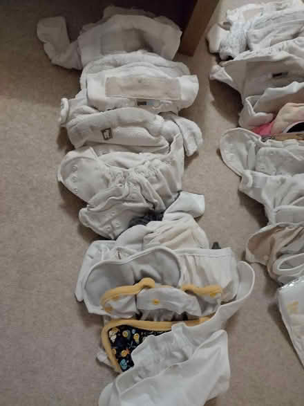 Photo of free Reusable Nappies Two Part System (Roseacre ME15) #3