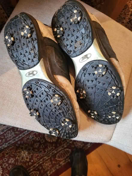 Photo of free Well used Golf Shoes (Liberton EH16) #2