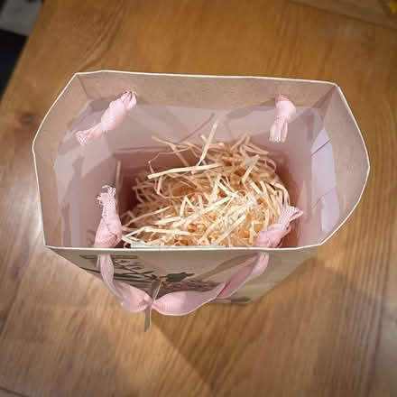 Photo of free Bottle Bag (Originally from RHS) (Chipping Norton OX7) #2