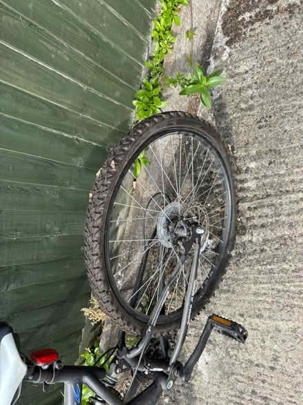 Photo of free Adult Ladies Bike (CR5) #3