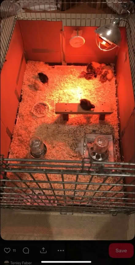 Photo of Hi everyone (Suitland) #1