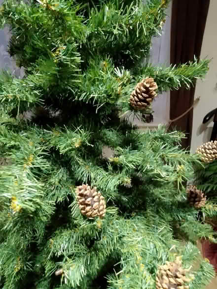 Photo of free 6 ft Artificial Christmas Tree (Walderslade) #2
