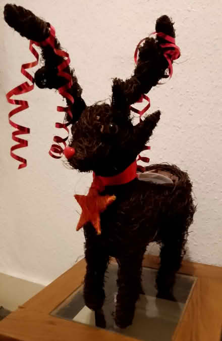 Photo of free Christmas reindeer (South Ashford TN23) #1