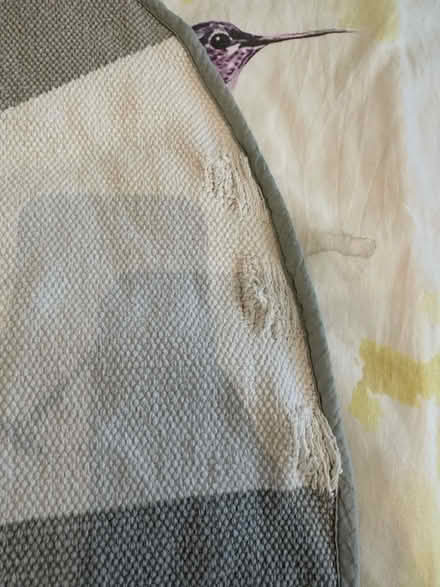 Photo of free Circular IKEA cotton rug (OX3 8TG) #4