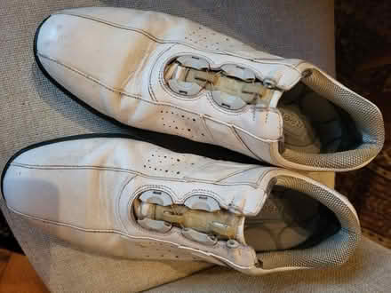 Photo of free Well used Golf Shoes (Liberton EH16) #1