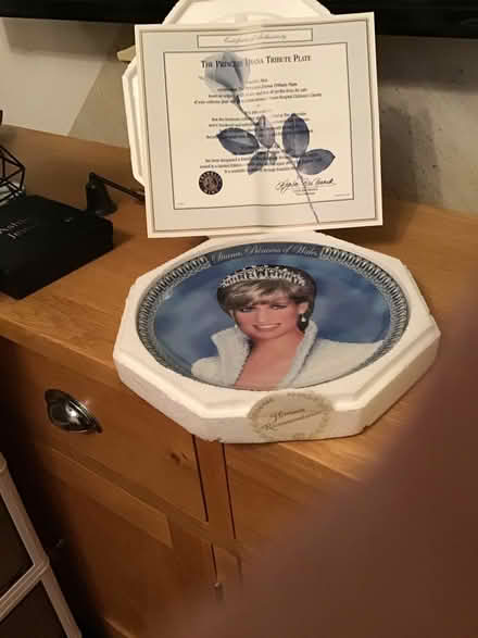 Photo of free Diana plate (Fintry DD4) #1