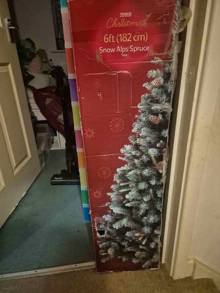 Photo of free 6ft christmas tree (paignton Borough road TQ4) #1