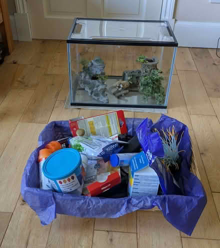 Photo of free Aquarium - Just Add Goldfish (Balerno EH14) #3