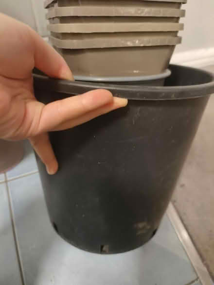 Photo of free big plant pots various sizes (St Johns Wood NW89S) #2