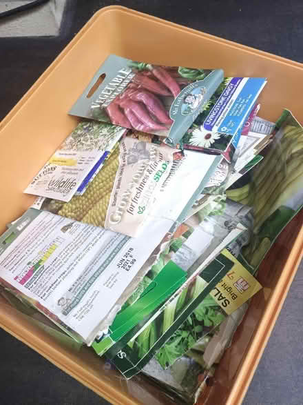 Photo of free Seeds (NR10) #1