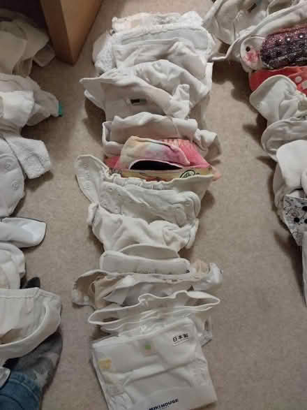 Photo of free Reusable Nappies Two Part System (Roseacre ME15) #2