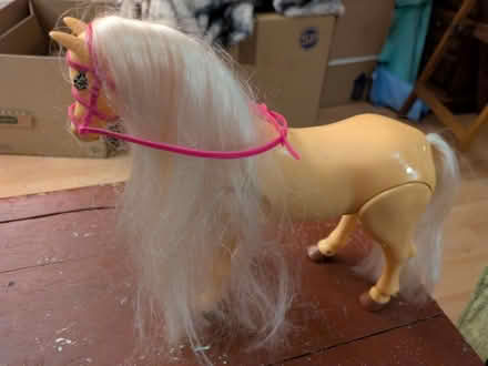 Photo of free Toy horse (Fry’s Hill OX4) #1