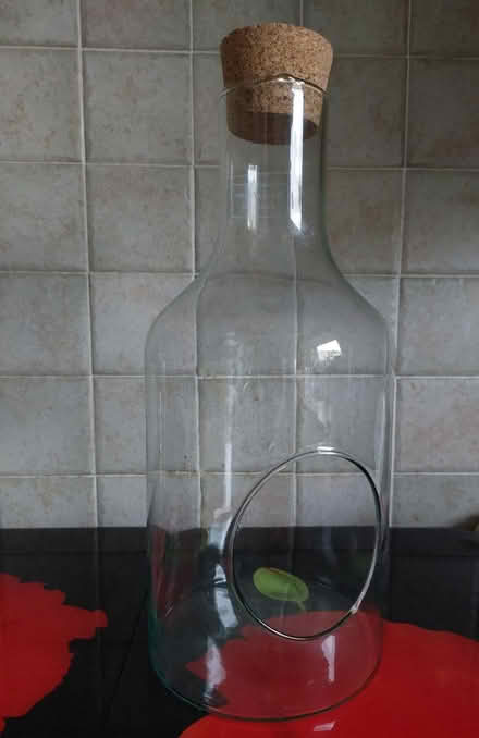 Photo of free Large, Open Terrarium Bottle (Pitreavie Castle, KY11) #1