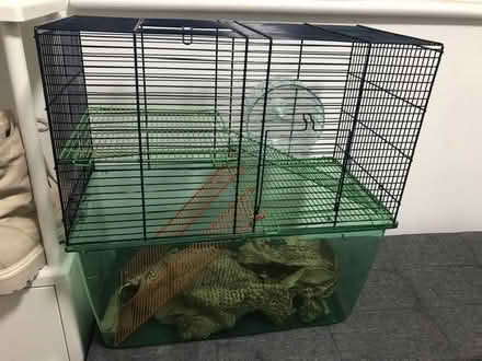 Photo of free Cage for a small rodent (Hertford SG13) #1
