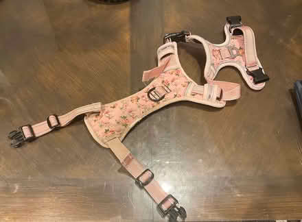 Photo of free Small/medium dog harness (Sale M33) #1