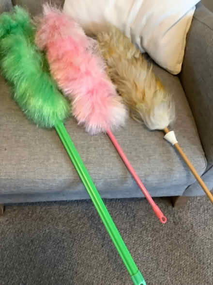 Photo of free “Feather” dusters (Corstorphine EH12) #1