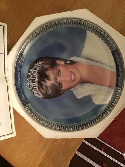 Photo of free Diana plate (Fintry DD4) #2