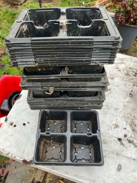 Photo of free Plant trays (Leeds LS6) #1